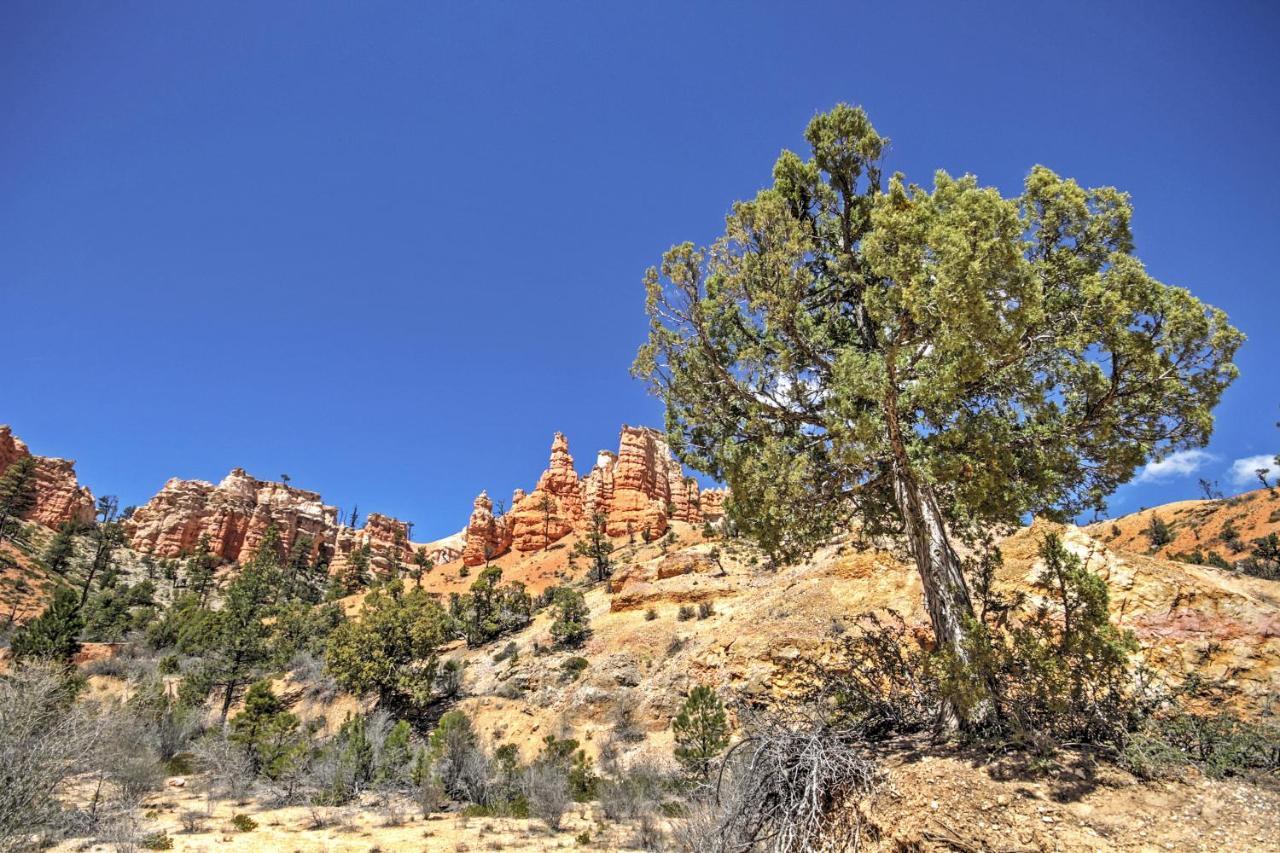 Bryce Canyon Area House With Mountain Views! Tropic Exterior foto